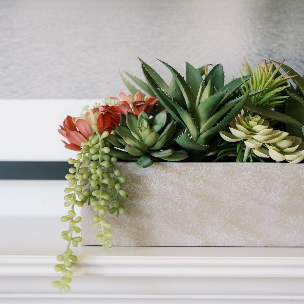 succulent planter long Rectangular Succulent Arrangement – Natural Planter – CG Hunter