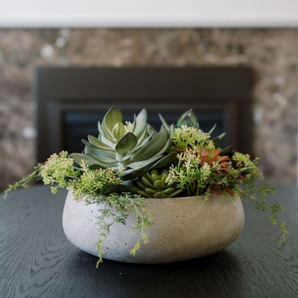 buy succulent bowl Round Succulent Arrangement – Natural Planter