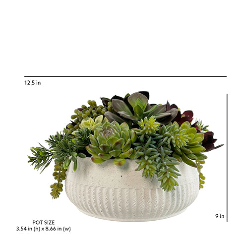 12" Succulent Arrangement