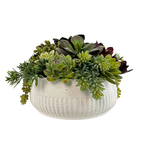 greenery succulent arrangements 12" Succulent Arrangement