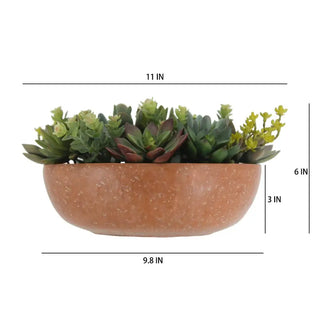 11" Succulent Arrangement in Terracotta Round Pot