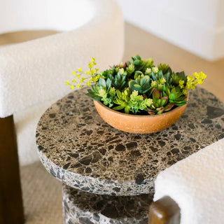 11" Succulent Arrangement in Terracotta Round Pot