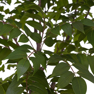 Detail of CG Hunter 7' Faux Potted Sumac Tree leaves, exhibiting rich greenery and realistic texture for an upscale home decor element.