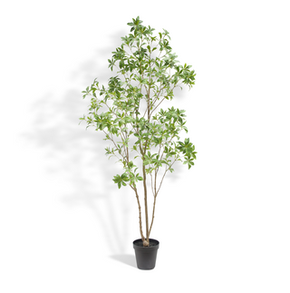 7' Faux Laurel Tree on White Background
