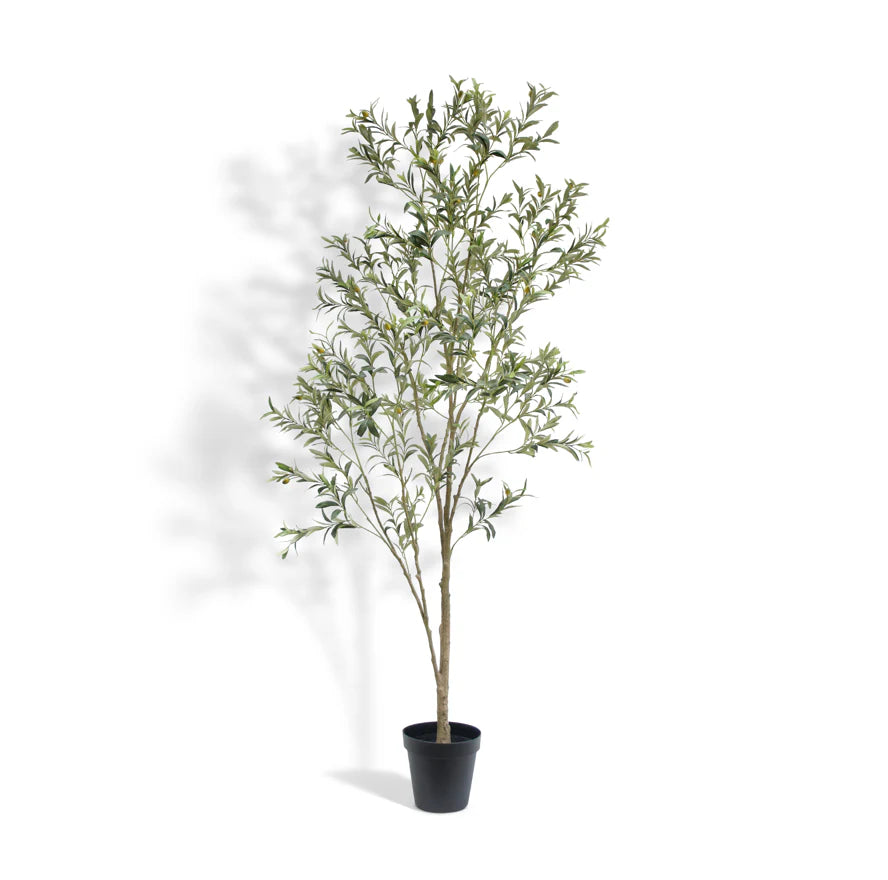 CG Hunter Faux Wispy Olive Tree 