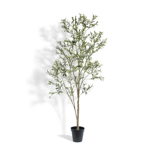 Beautifully crafted 7' Wispy Olive Tree by CG Hunter standing tall, featuring lush foliage, perfect for enhancing your home or office decor with a touch of elegance.