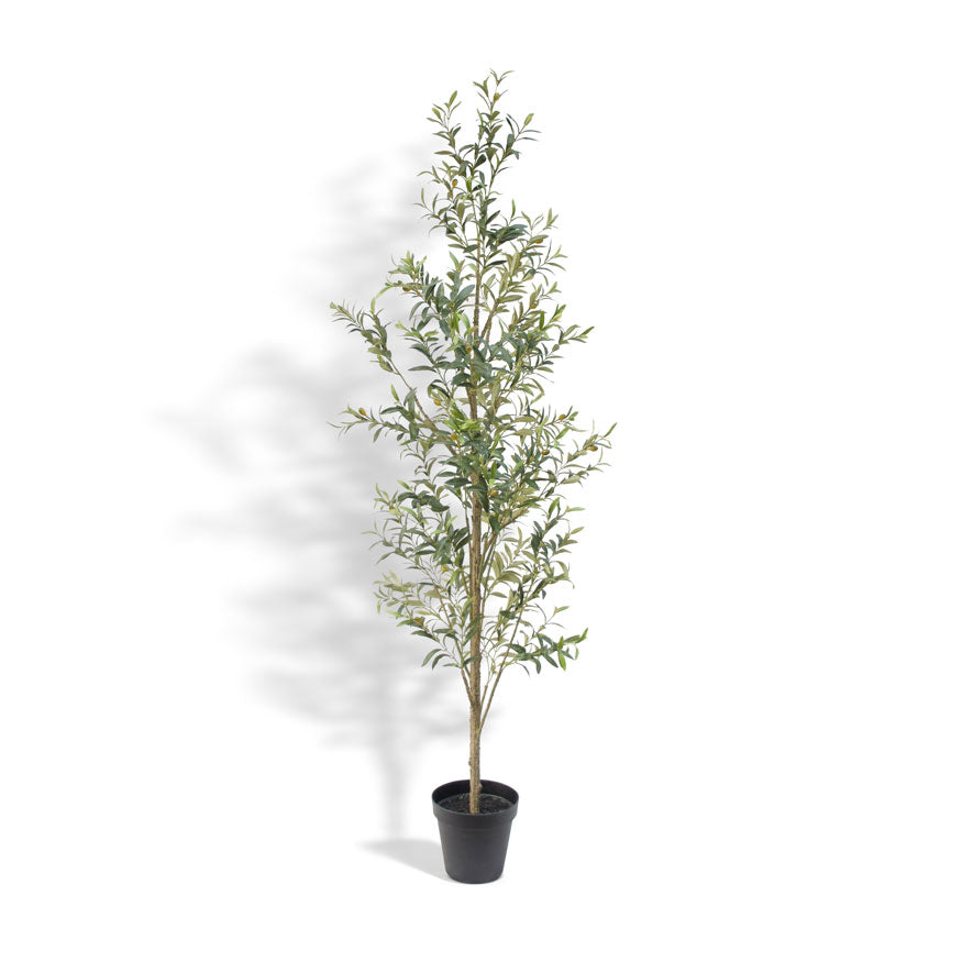 7' Artificial Slim Olive Tree