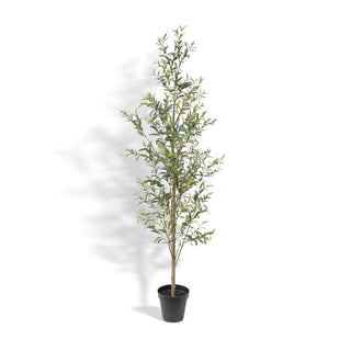 Full view of CG Hunter's 7' Slim Olive Tree in a pot, designed for stylish decor, emphasizing its slender profile and natural beauty suitable for various interior styles.