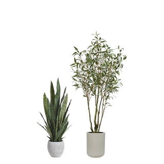 Artificial Willow Eucalyptus Tree and Snake Plant