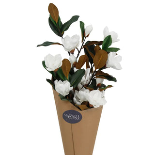 Southern Magnolia in Smoked Glass