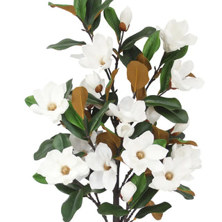 Southern Magnolia in Smoked Glass