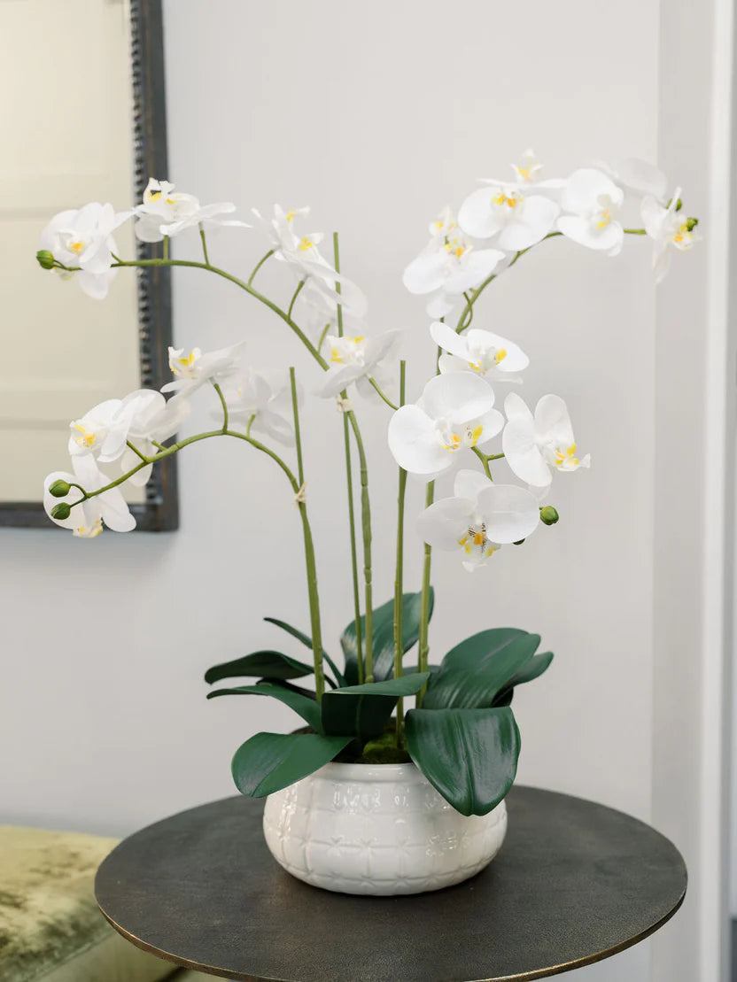 CG Hunter Artificial Orchids