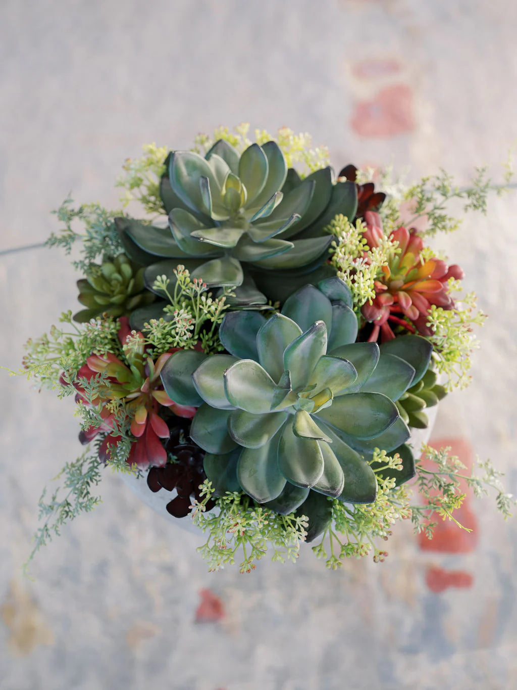 CG Hunter Faux Succulents