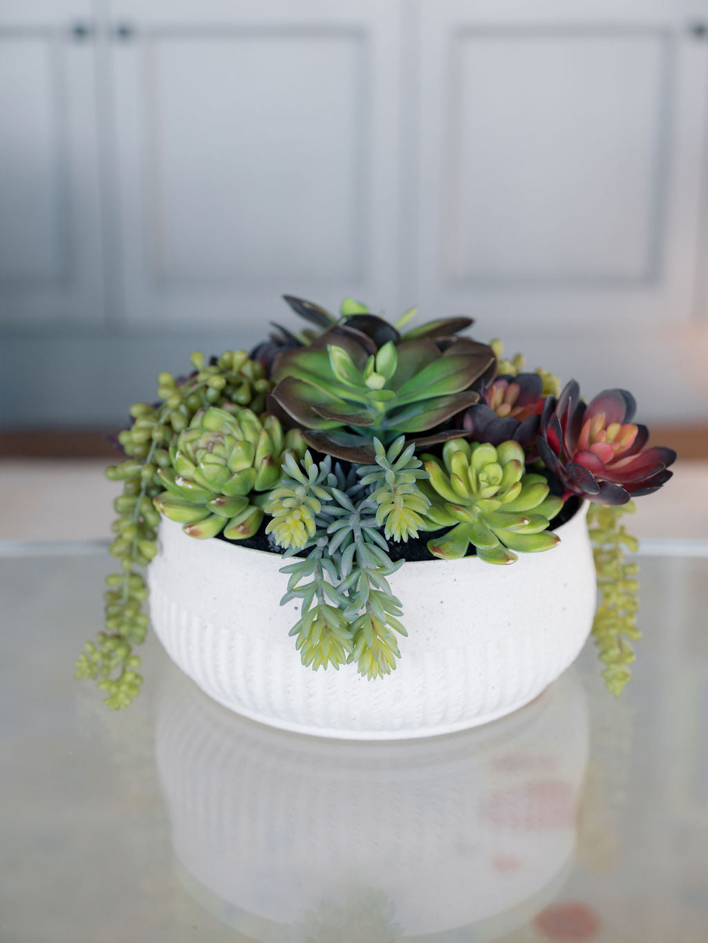 12" Succulent Arrangement