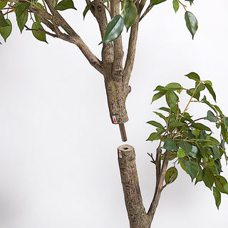 Premium Faux Ficus Tree Close up trunk