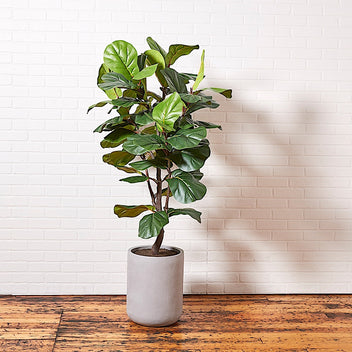 Faux Fiddle Leaf Fig Tree w/artisan pot| CG Hunter |Luxury Faux Plants