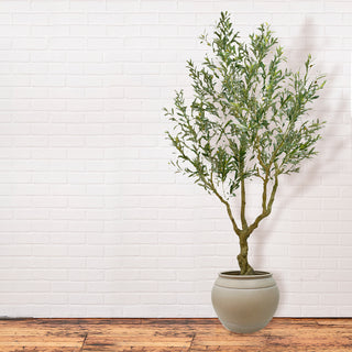 CG Hunter Artificial Olive Tree 8.5' in Artisan Mediterranean Pot elegantly displayed against a minimalist white brick wall, enhancing the contemporary charm of the space.