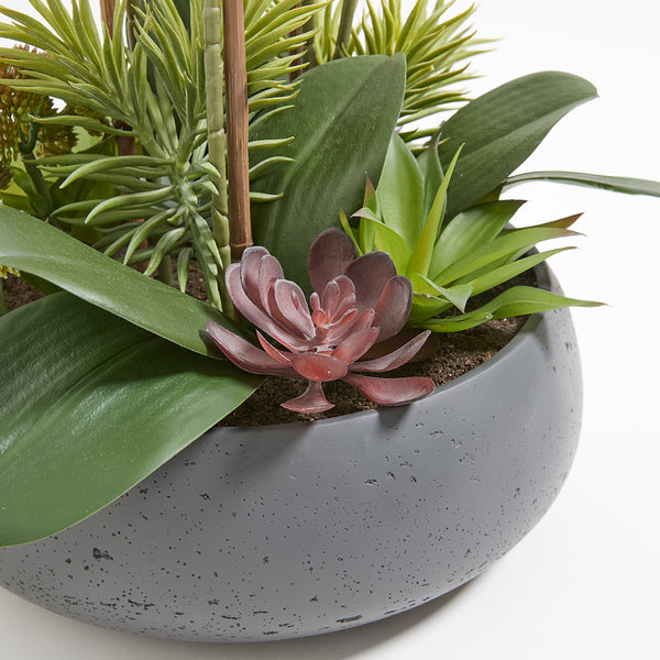 Faux Orchid with Succulents in a variety of colors and textures creating a lifelike realistic fake arrangement in a round modern gray pot
