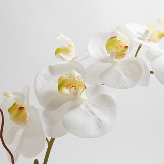 Lifelike artificial white orchid flowers by CG Hunter, showcasing exquisite detailing with soft white petals accented by delicate yellow centers, ideal for adding elegance to any decor.