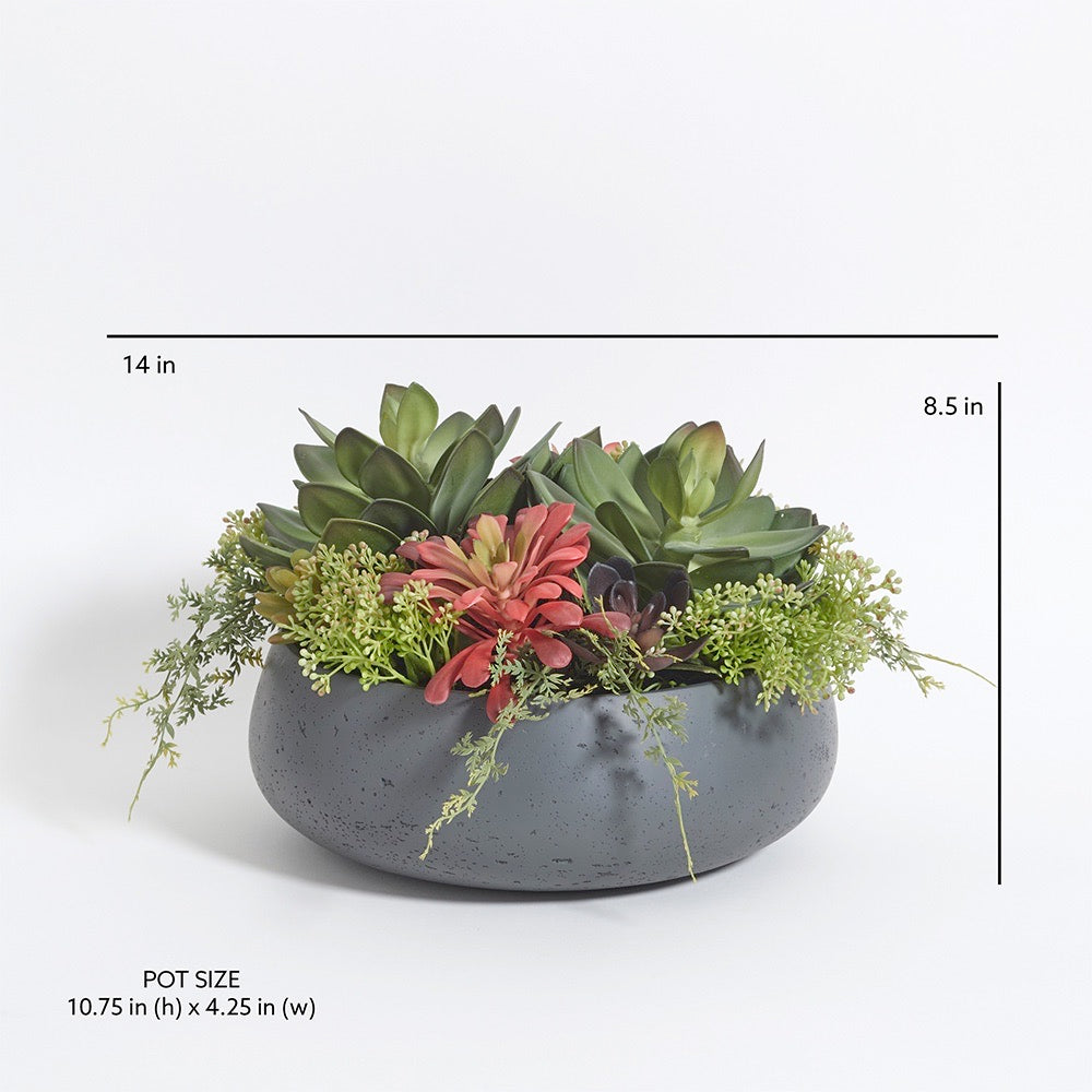 artificial succulent pots Round Succulent Arrangement – Gray Planter