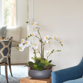 Elegant living room featuring the Artificial Orchid with Succulents arrangement by CG Hunter, beautifully placed on a side table next to a plush armchair.