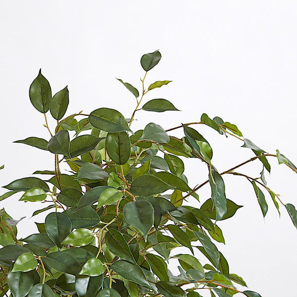 Premium Faux Ficus Tree Close up of each leaf