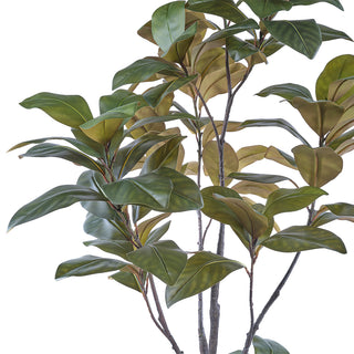 Close-up of the lifelike foliage of the 7' Artificial Magnolia Tree from CG Hunter, featuring rich green and subtle brown leaves, ideal for upscale home decoration.
