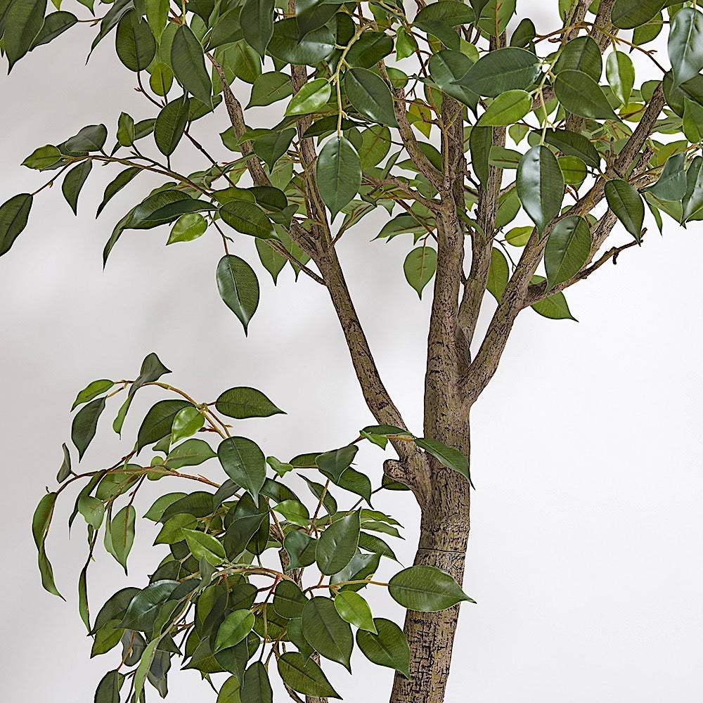Premium Faux Ficus Tree closeup of fake leaves and stem