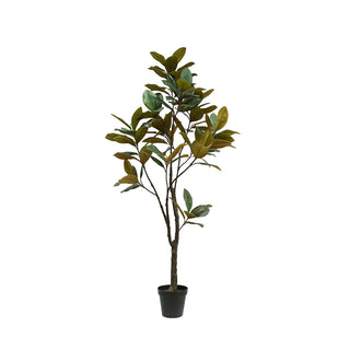 Lifelike 7' Artificial Magnolia Tree by CG Hunter in a black grower pot, showcasing realistic leaves and branches for luxury home decor.