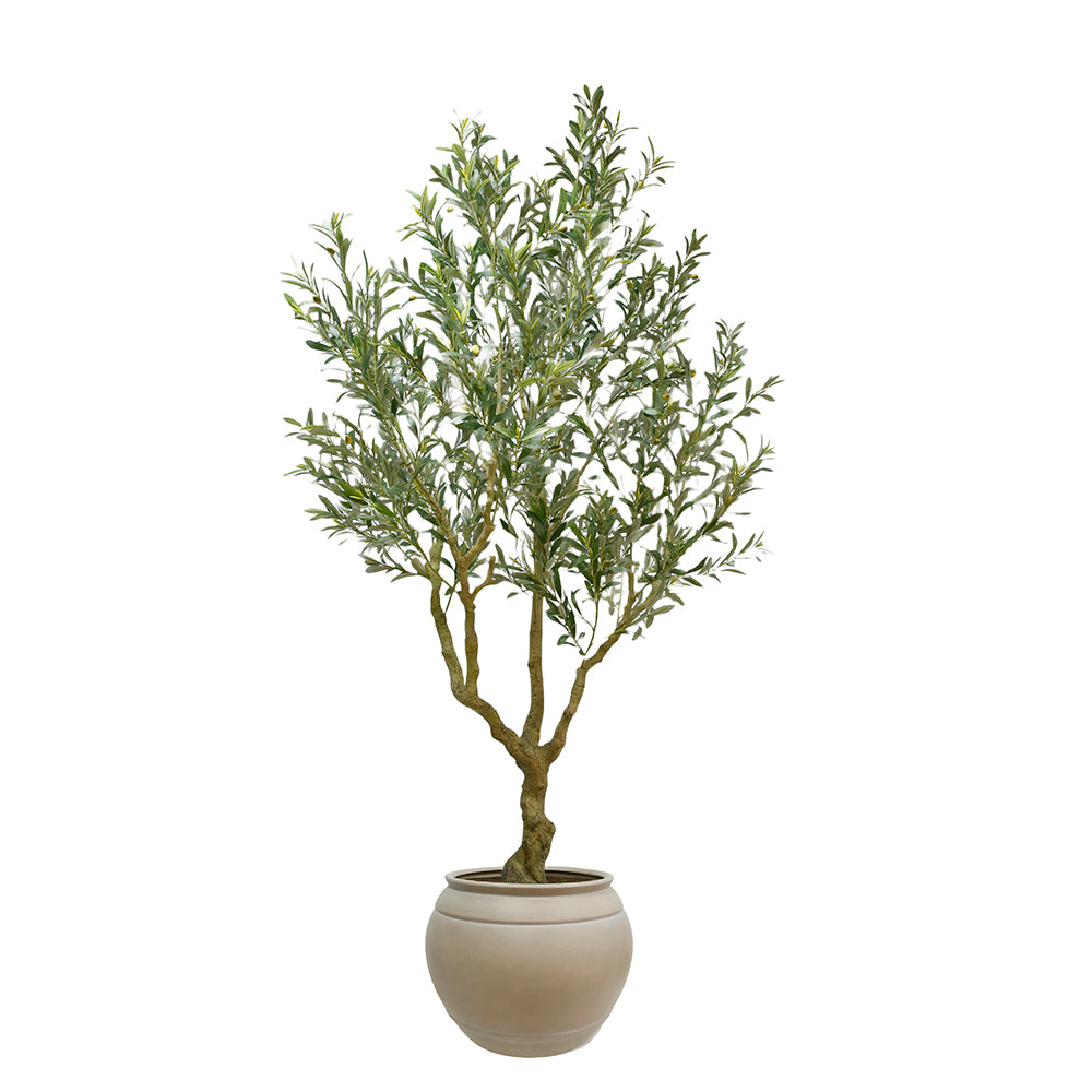 CG Hunter Faux Olive Tree 8.5' in Artisan Planter