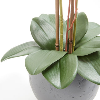 Elegant artificial white orchid plant leaves by CG Hunter, featuring lush green foliage that complements the stunning white blooms, creating a natural and luxurious aesthetic.