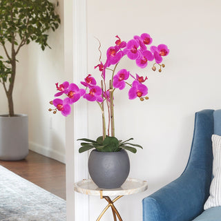 Artificial Pink Double Stem Orchid arrangement by CG Hunter, elegantly displayed beside a stylish blue couch in a chic living room setting.