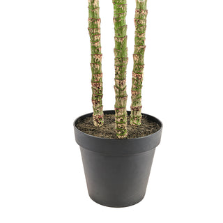 Detailed view of the base of the 7' Artificial Palm Tree by CG Hunter, showcasing its textured trunk and black grower pot.