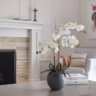 Sophisticated arrangement of CG Hunter's lifelike artificial white orchids in a modern grey pot, displayed stylishly on a tabletop environment, perfect for enhancing interior decor.