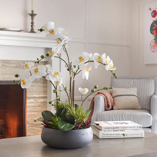 Stylish living room featuring CG Hunter's artificial Orchid Plant with Succulents, showcasing its vibrant flowers and greenery, adding a luxurious touch to the decor.