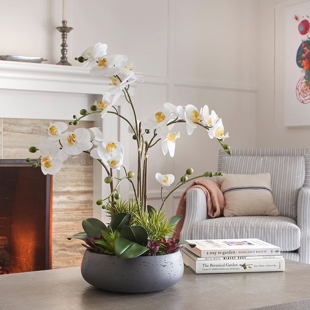 Faux Orchid with Succulents has 3 stems and a multitude of blooms which create a lifelike appearance and adds some nature to any coffee table