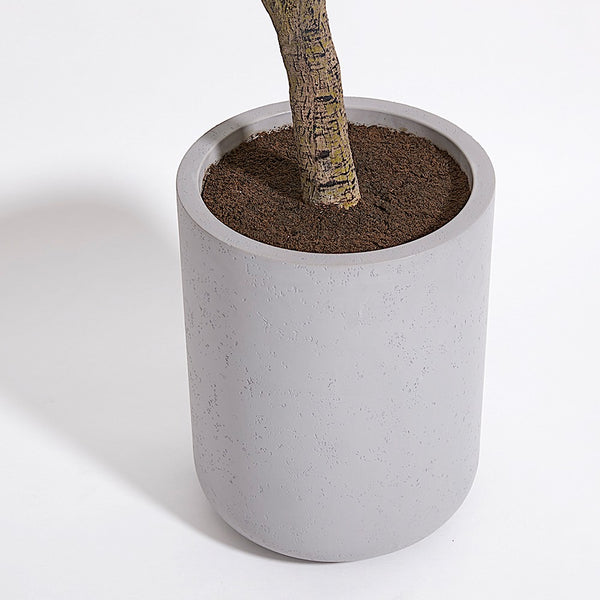 Premium Faux Ficus Tree modern gray pot included with fake soil that looks real