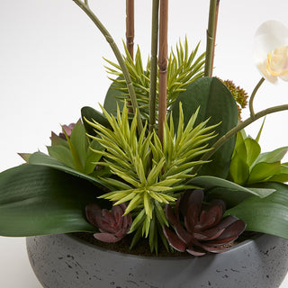 Detailed close-up of the beautiful Artificial Orchid with Succulents by CG Hunter, highlighting the realistic textures of the orchid petals and succulents in a chic grey pot.