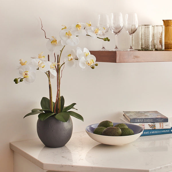Premium Faux White Double Stem Orchid with lifelike blooms in a modern gray round pot adds color and beauty to your kitchen counter or island