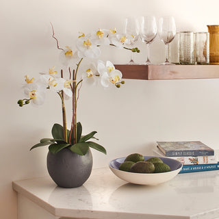 Stylish artificial White Double Stem Orchid by CG Hunter, beautifully arranged in a contemporary setting with a grey pot, enhancing the decor with its elegant design and lifelike appeal.