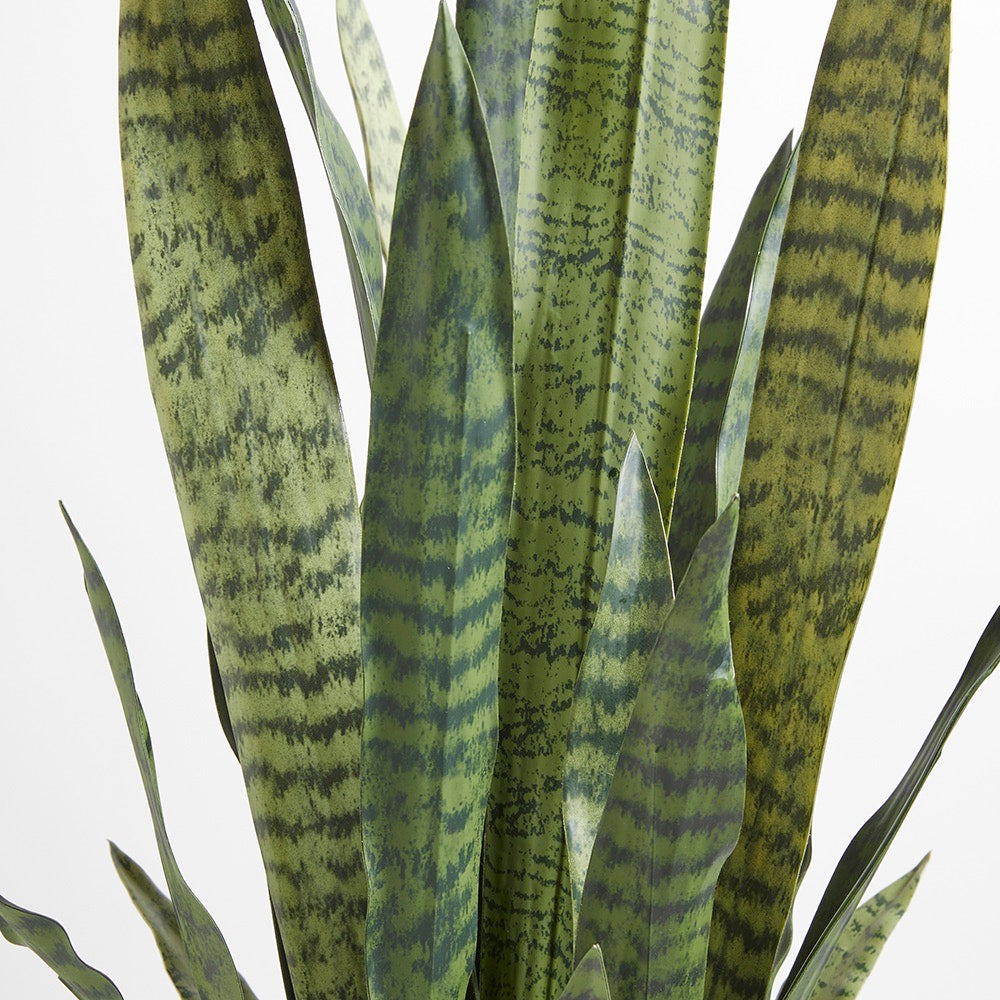 Premium Fake Snake Plant leaf closeup of the natural variety and texture of the leaves which look lifelike