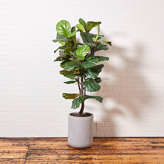Artificial Fiddle Leaf Fig Tree by CG Hunter positioned elegantly against a textured white brick wall, offering a striking centerpiece for modern decor.