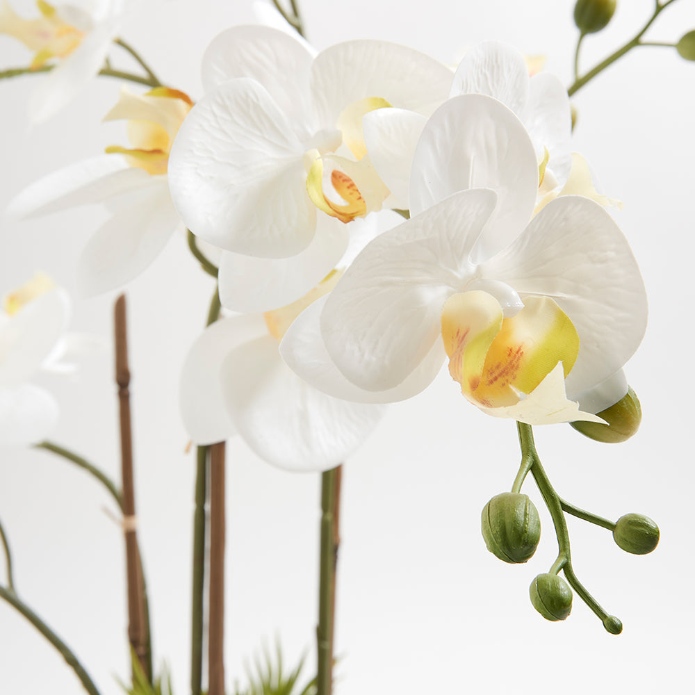 Artificial Orchid close-up of the beautiful lifelike blooms with a variety of colors and textures to create a realistic looking plant