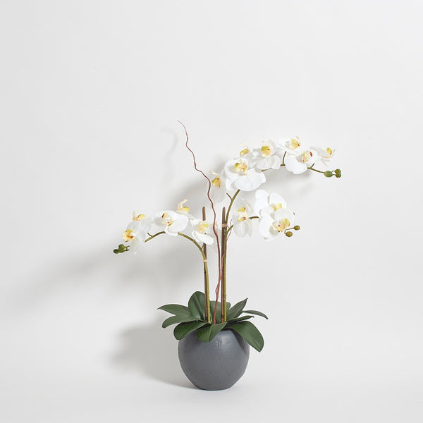 Premium Faux White Double Stem Orchid with lifelike blooms in a modern gray round pot