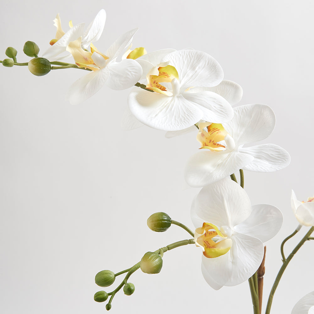 Fake Orchid blooms and stem that are so lifelike you will want to water them