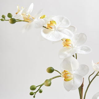 Close-up of the exquisite white orchid flowers from CG Hunter's artificial Orchid Plant with Succulents, highlighting the intricate details and realistic petals.