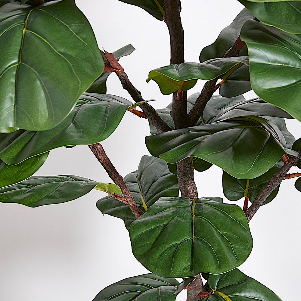 fiddle leaf fig look alike Faux Fiddle Leaf Fig Tree, 5 ft
