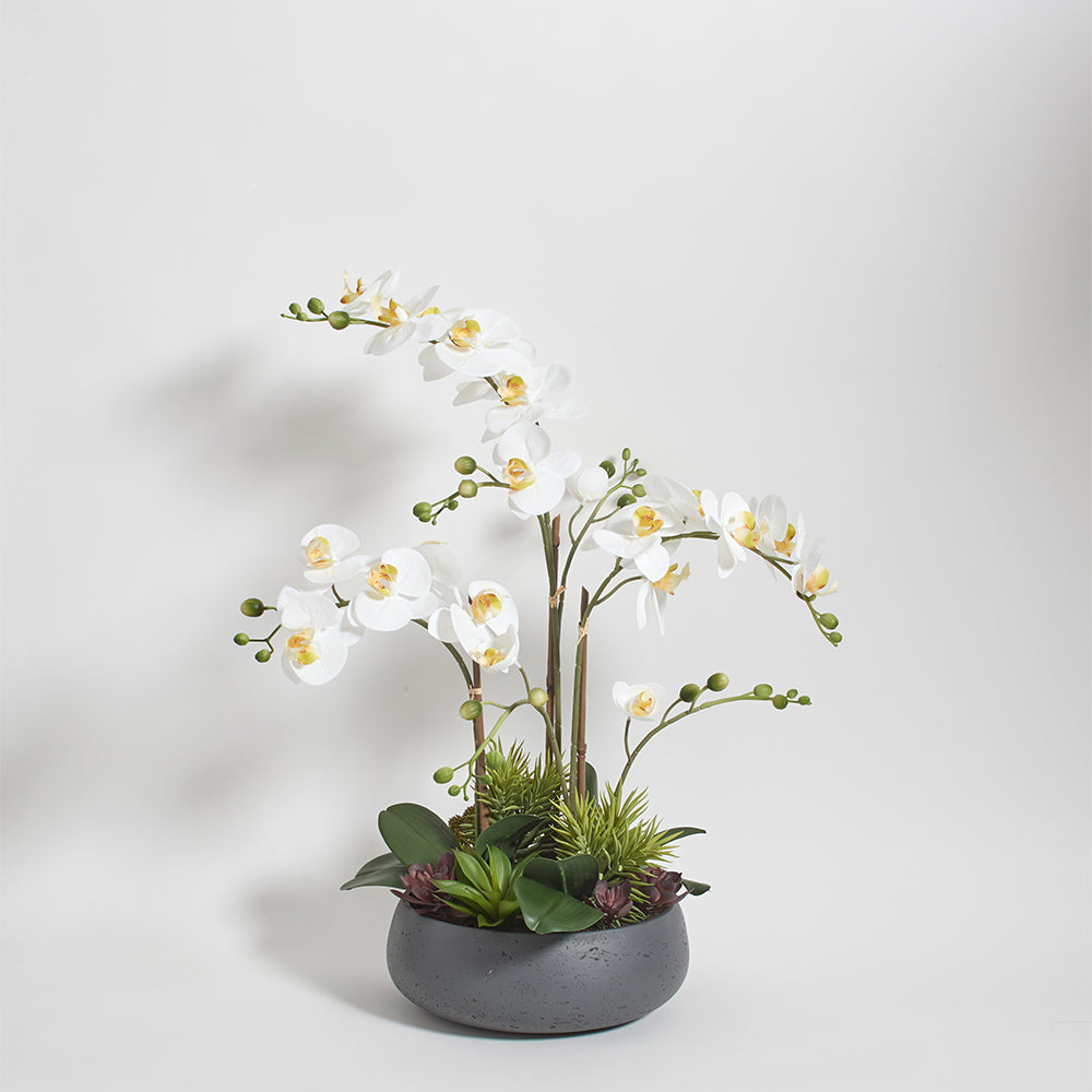Faux Orchid with Succulents in gray modern round pot
