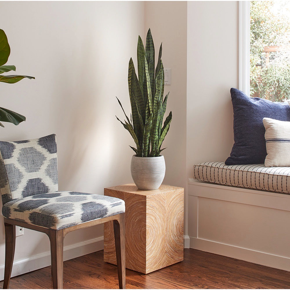 Premium Faux Snake Plant in a modern mediterranean pot adds a touch of nature to any interior design project