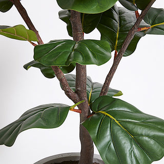 Close-up view of the intricate leaves and branches of the artificial Fiddle Leaf Fig Tree, showcasing the realistic craftsmanship by CG Hunter, perfect for adding elegance to your interior.